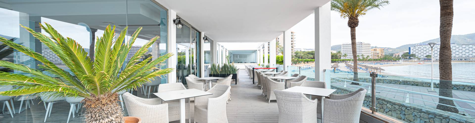 Seramar hotels - Palmanova - Seramar hotels - Palmanova -